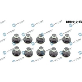 Osta Rajoitin, moottorikoppa DR.MOTOR AUTOMOTIVE:llä DRM01016S edullisesti hintaan 17,12 €