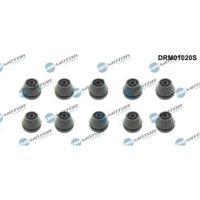 Osta Rajoitin, moottorikoppa DR.MOTOR AUTOMOTIVE:llä DRM01020S edullisesti hintaan 34,26 €