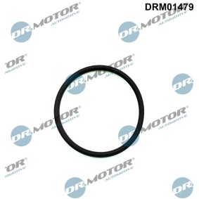 Dichtung, Einspritzpumpe DRM01479