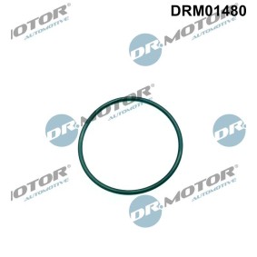 Dichtung, Einspritzpumpe DRM01480