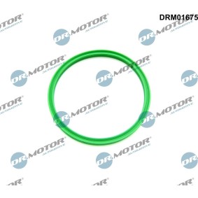 Kjøp Tetningsring, laseluftslange av DR.MOTOR AUTOMOTIVE DRM01675 til den lave prisen 93,49 NOK