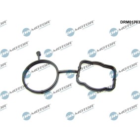 Achetez des Joint de calorstat DR.MOTOR AUTOMOTIVE DRM01703 à prix pour 4,37 €
