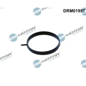 Dichtung, Drosselklappe DRM01957
