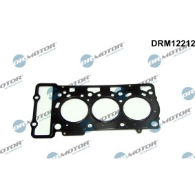 Acquista Guarnizione testata da DR.MOTOR AUTOMOTIVE DRM12212 a buon mercato per soli 28,31 €