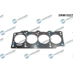 Osta Tiiviste, sylinterikansi DR.MOTOR AUTOMOTIVE:llä DRM15227 edullisesti hintaan 45,68 €