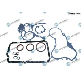 Köp Packningssats, vevhus av DR.MOTOR AUTOMOTIVE DRM18301R till det låga priset 1166,09 kr