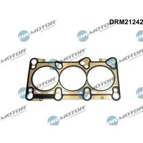 Acquista Guarnizione testata da DR.MOTOR AUTOMOTIVE DRM21242 a buon mercato per soli 41,13 €