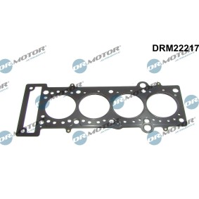 Zylinderkopfdichtung DRM22217