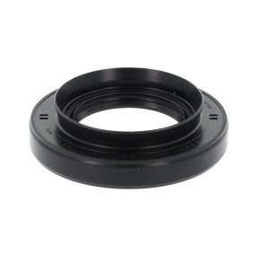 Wellendichtring, Differential 19034729B