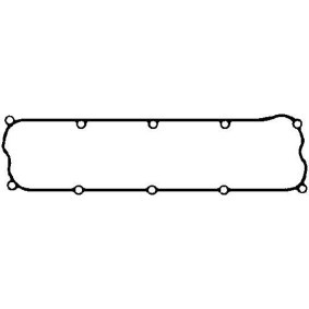 Ventildeckeldichtung 440132P