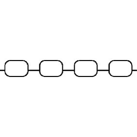 Ansaugkrümmerdichtung 450031P