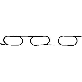 Ansaugkrümmerdichtung 450569H