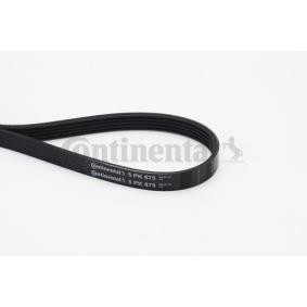 Compre Correia trapezoidal estriada da CONTITECH 5PK875 a um preço baixo por 10,97 €