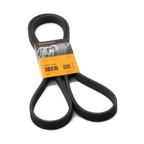 Achetez des Courroie Poly-V CONTITECH 6DPK1825 à prix pour 29,47 €