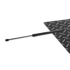 Compre Amortecedor da mala da RIDEX 219G1474 a um preço baixo por 17,27 €