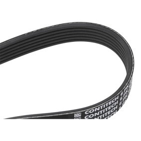 Compre Correia trapezoidal estriada da CONTITECH 6PK1264 a um preço baixo por 12,85 €