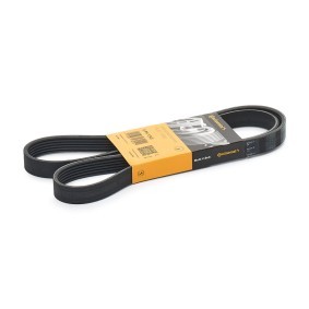 Compre Correia trapezoidal estriada da CONTITECH 6PK1345 a um preço baixo por 14,61 €