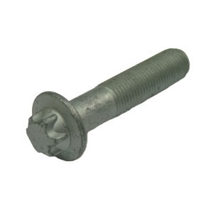 Schraubensatz, Riemenscheibe-Kurbelwelle 80001251