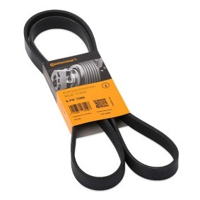 Achetez des Courroie Poly-V CONTITECH 6PK1590 à prix pour 19,24 €