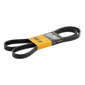 Achetez des Courroie Poly-V CONTITECH 6PK1642 à prix pour 14,68 €