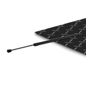 Achetez des Vérin de coffre RIDEX 219G1525 à prix pour 15,22 €