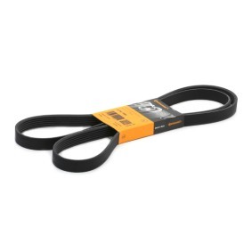 Compre Correia trapezoidal estriada da CONTITECH 6PK1880 a um preço baixo por 21,39 €