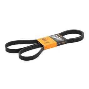 Compre Correia trapezoidal estriada da CONTITECH 6PK1900 a um preço baixo por 17,47 €