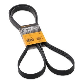 Compre Correia trapezoidal estriada da CONTITECH 6PK2215 a um preço baixo por 22,17 €