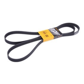 Achetez des Courroie Poly-V CONTITECH 6PK2241 à prix pour 27,69 €