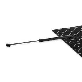Achetez des Vérin de coffre RIDEX 219G1550 à prix pour 23,28 €