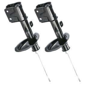 Compre Amortecedor da RIDEX 854S19318 a um preço baixo por 70,38 €