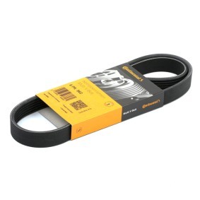 Compre Correia trapezoidal estriada da CONTITECH 6PK962 a um preço baixo por 11,44 €