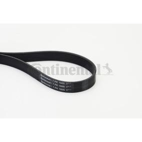 Compre Correia trapezoidal estriada da CONTITECH 7PK1605 a um preço baixo por 21,40 €