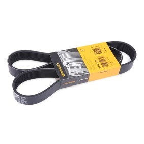 Compre Correia trapezoidal estriada da CONTITECH 8PK1226 a um preço baixo por 23,87 €