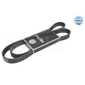 Compre Correia trapezoidal estriada da MEYLE 050 007 1605 a um preço baixo por 17,10 €