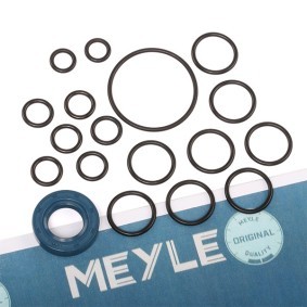 Dichtungssatz, Hydraulikpumpe des Herstellers MEYLE - Originalware Artikelnummer: 100 198 0002