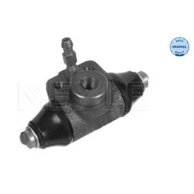 Achetez des Cylindre de roue MEYLE 100 611 0036 à prix pour 11,43 €