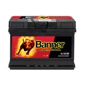 Batterie 010560080101