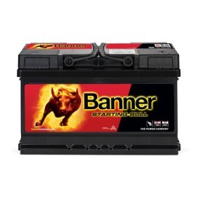 Batterie 010570440101