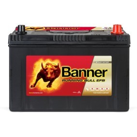 Batterie 012595150101