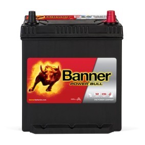 Batterie 013540250101