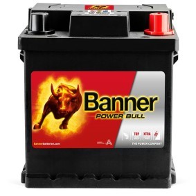 Batterie 013542080101