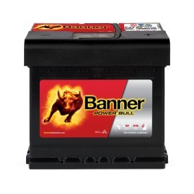 Batterie 013544090101
