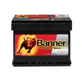 Batterie 013560090101