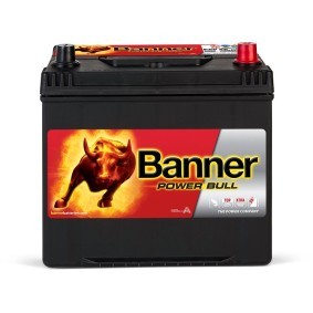 Batterie von BANNER