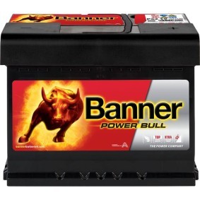Køb Starterbatteri af BANNER 013562190101 til den lave pris 1135,07 DKK