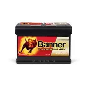 Batterie 016570010101