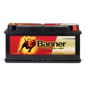 Batterie 016605010101