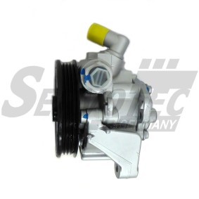 Servopumpe STSP0852