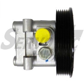 Servopumpe STSP1795